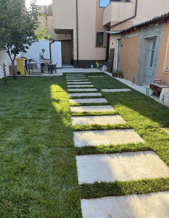 Vând gazon rulou și montez am și plante ornamentale