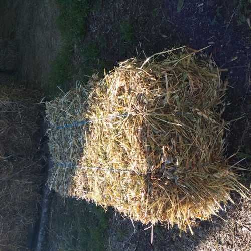 Бали слама за мулчиране! Перник