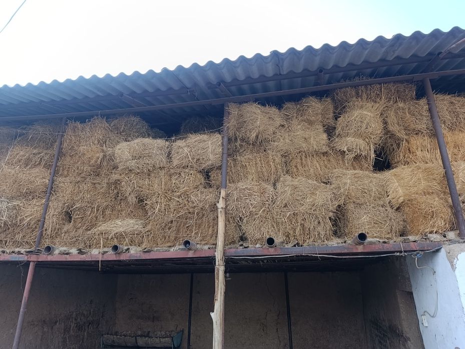 Прес шөп бар малға әдемі шөп