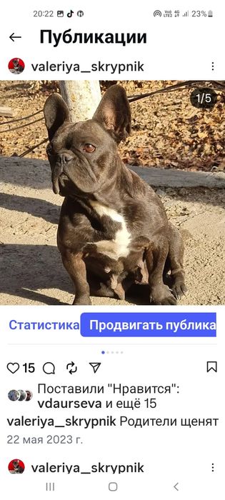 В продаже шикарная девочка