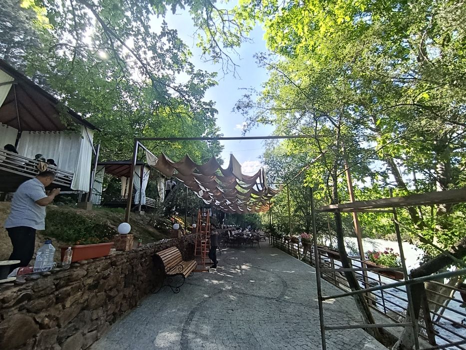 Троссли парусникла