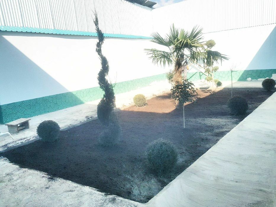 Gazon ekamiz lanshaft qilamiz