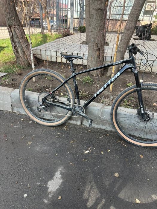 Twitter leopard pro 29