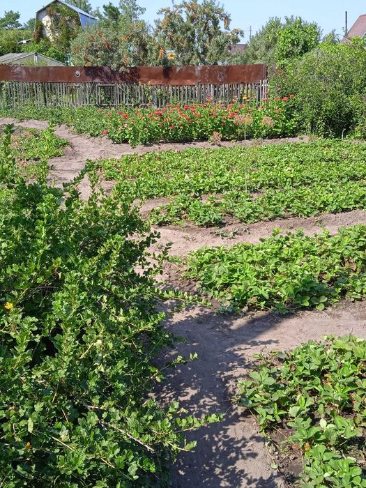 Продам дачный участок СТ Веснянка