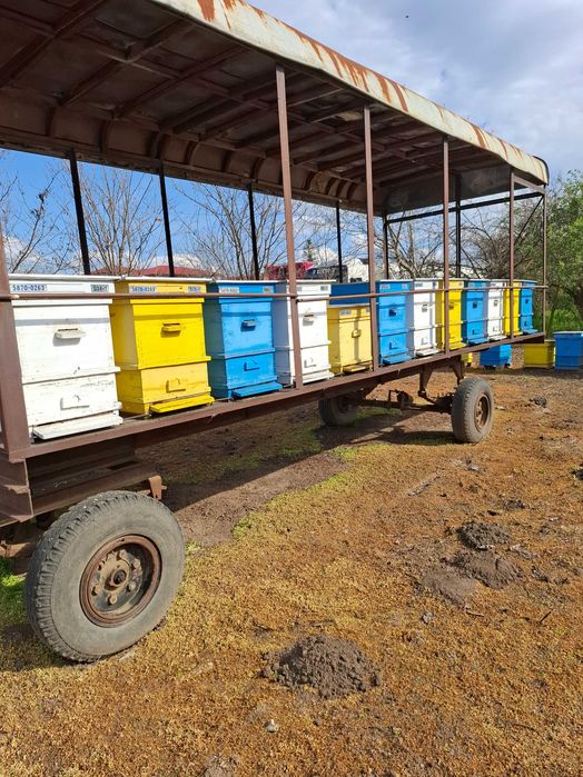 Продавам пчелни семейства