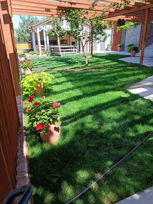 озеленение,автополив