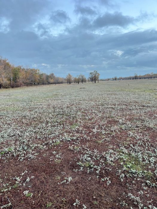 Земельный участок