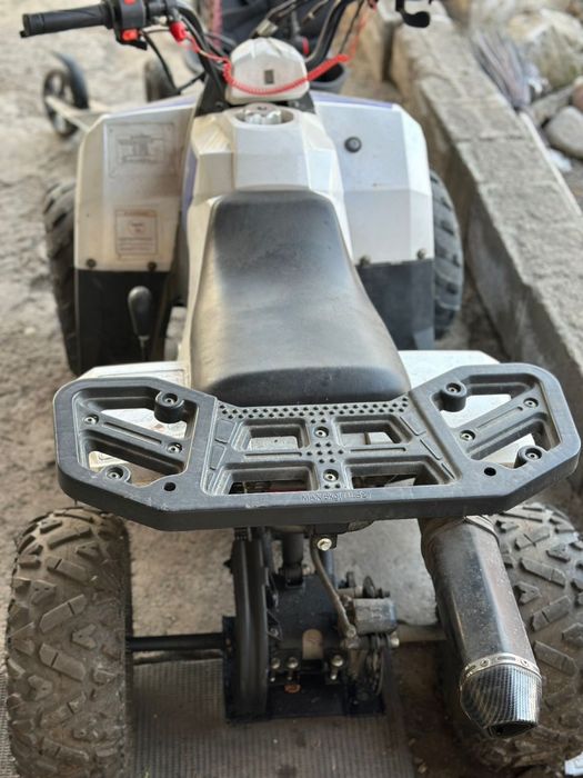 квадроцикл 110cc (Tao Motor Mudhawk).