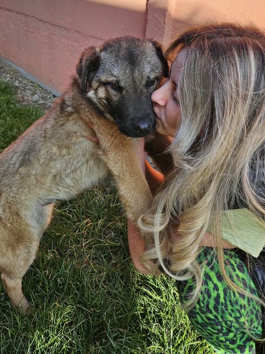 Това прекрасно бебе на около 6 мес,търси своя отговорен човек