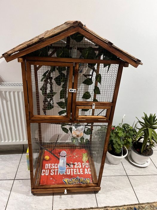 Custi rustice peruși  , micul Alexandru etc