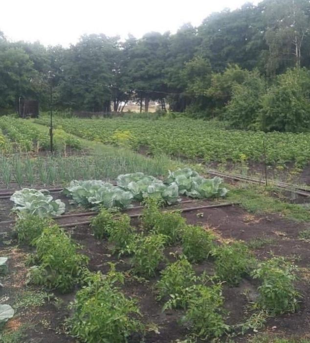 Продам частный дом