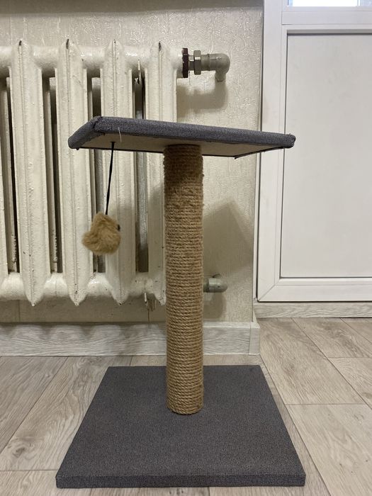 Когтеточка