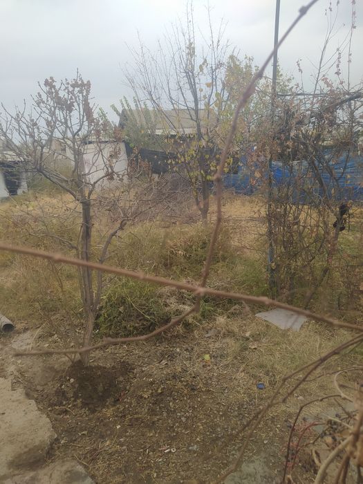 Продам 3 сотки земли под мини ферму выход на поля с клевером есть