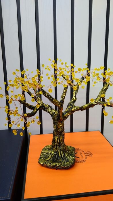 Денежные деревья