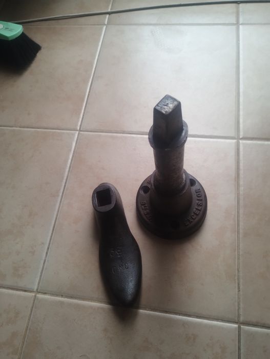 Calapod-nicovala excelsior