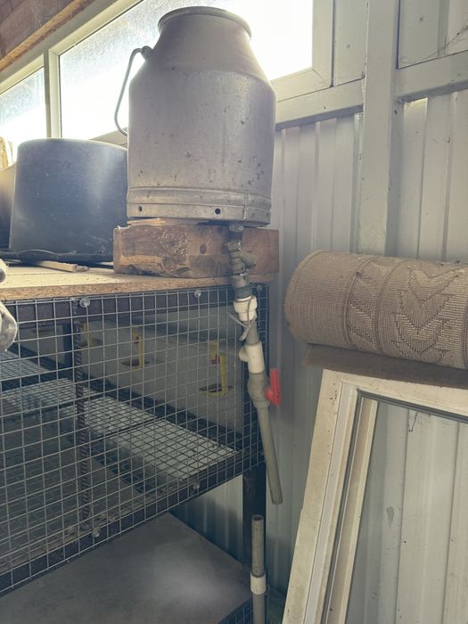 Клетки две штуки для птицы или кроликов