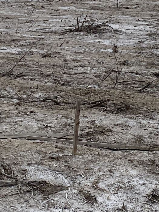 жер сатылады  10 сотток