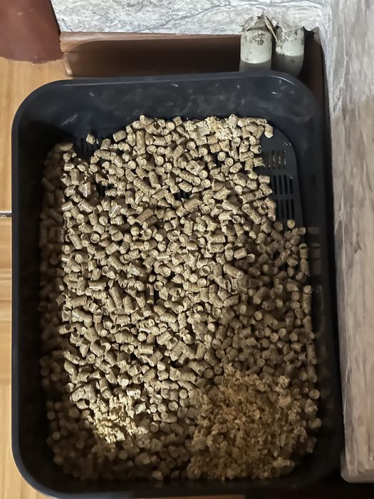 Отдам кошку в хорошие руки