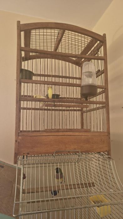 Vând 3 colivii pt papagali