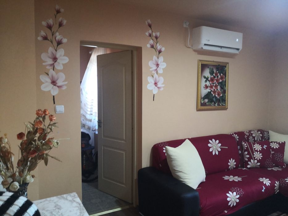 Vand apartament 1 camera in Jimbolia