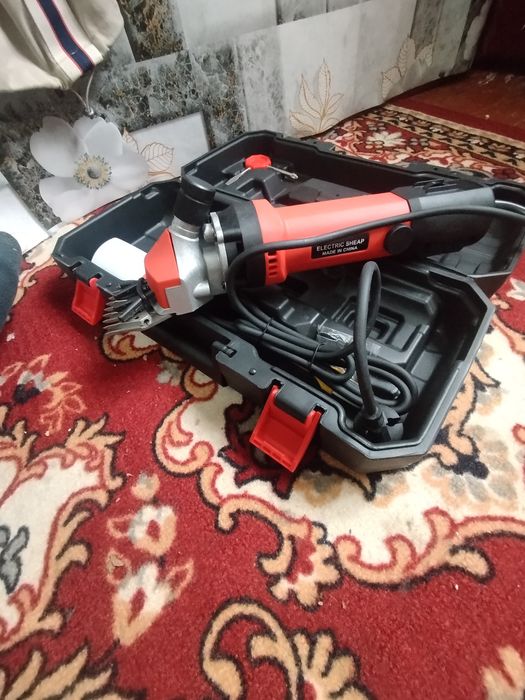 Qoy echki yungini olamiz