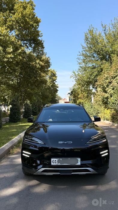 Byd chempion 605 tali full 2024 qora kraska tozza