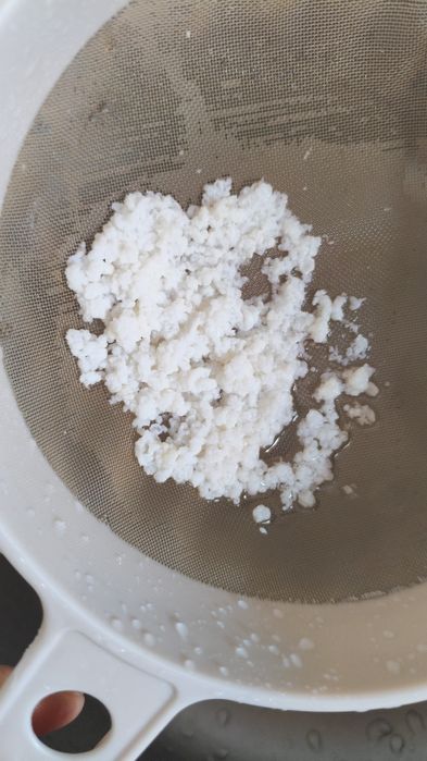 Продам молочный тибетский гриб