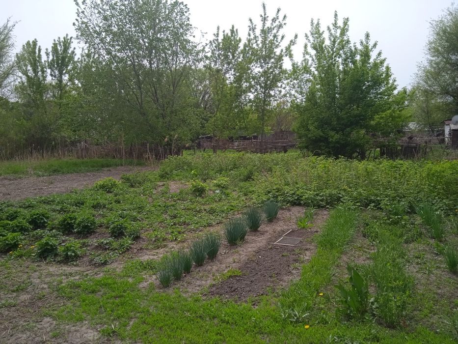 Продам дом с Балтабай