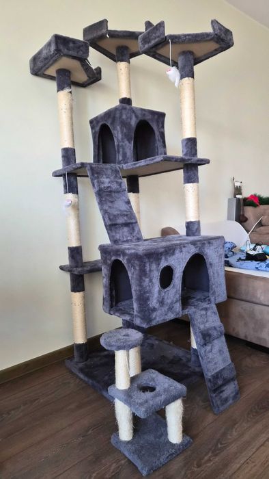 Котешка катерушка