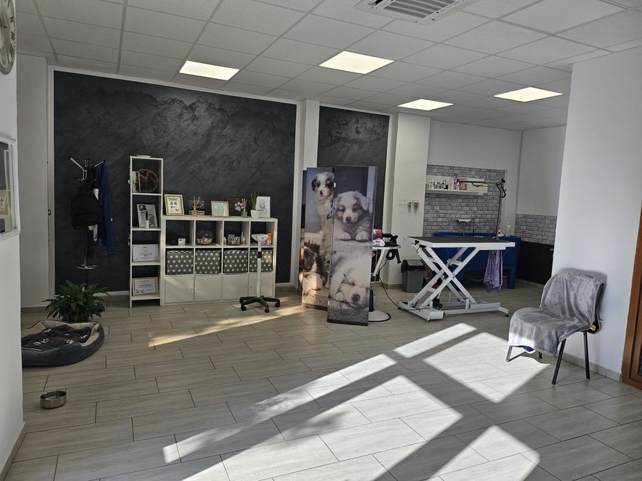 Spațiu comercial modern