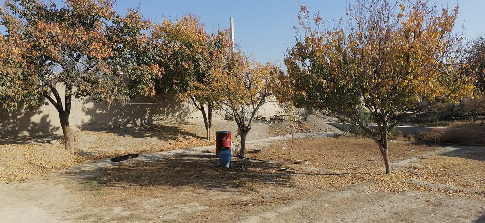 Срочно уй сотилади 6 сотихли 6 хонали вариантлар бор килишамиз