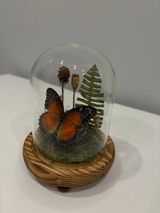бабочка в колбе ручная работа