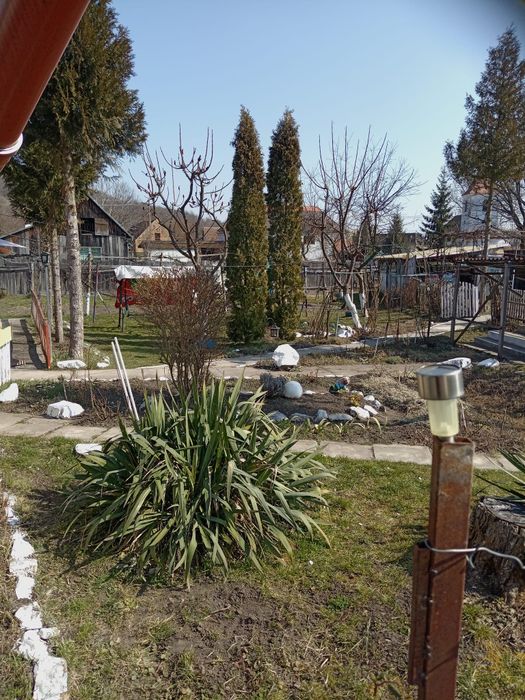 Casa de vanzare in Tichindeal