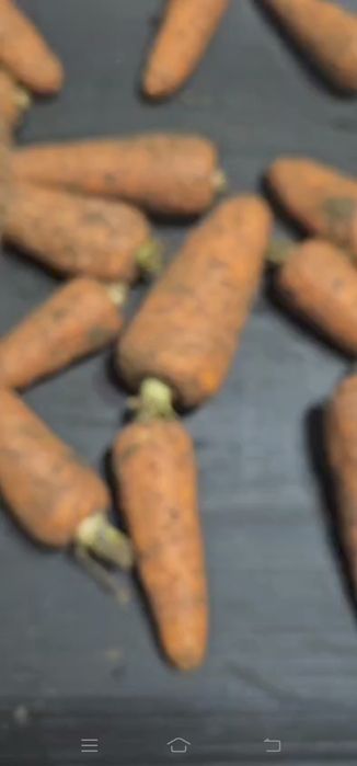 Морковь. Морковка мабиз