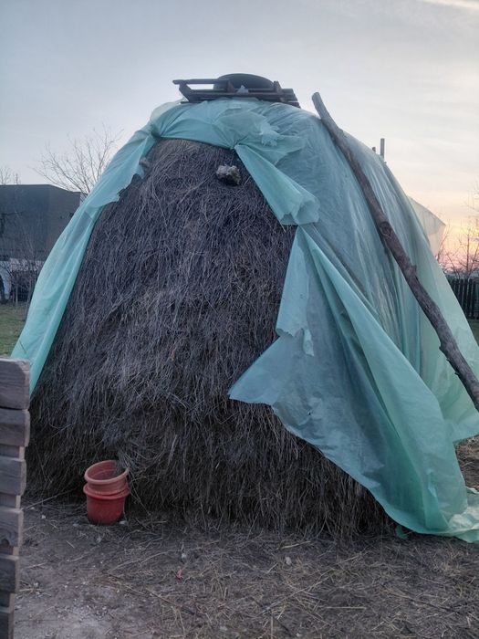 Fân de vânzare  urgent