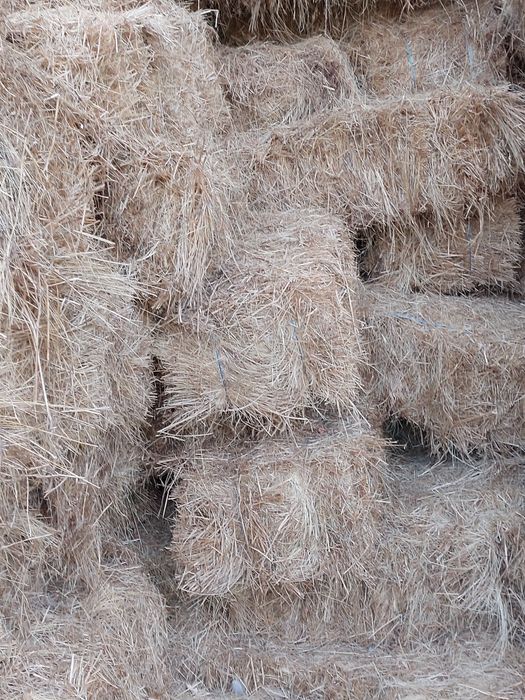 Vând  baloti de fan