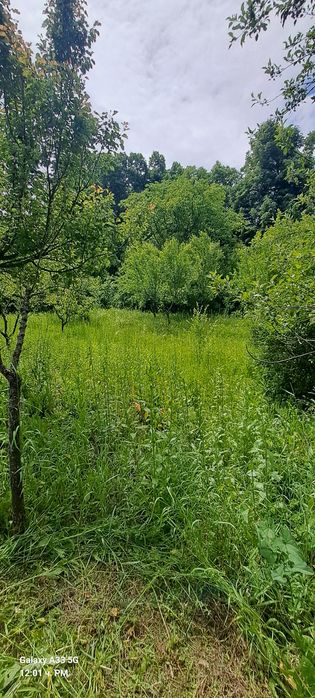 Косене на трева рязане на храсти дървета и т.н