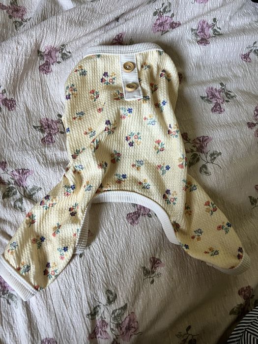 Одежда для собак