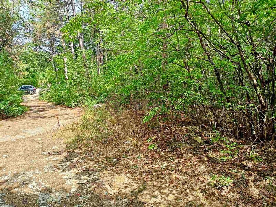 Продава се Парцел в Варна, Виница - 2420 кв.м за 21 €/кв.м - Снимка #2