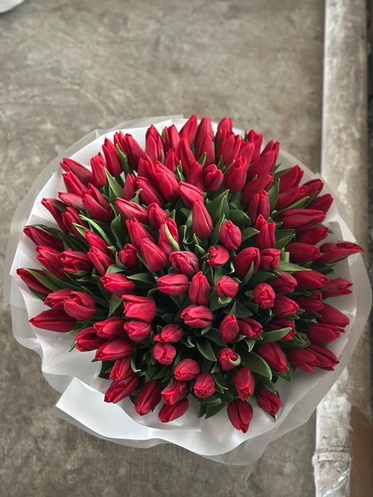 Тюльпаны 51 и 101 шт доставка