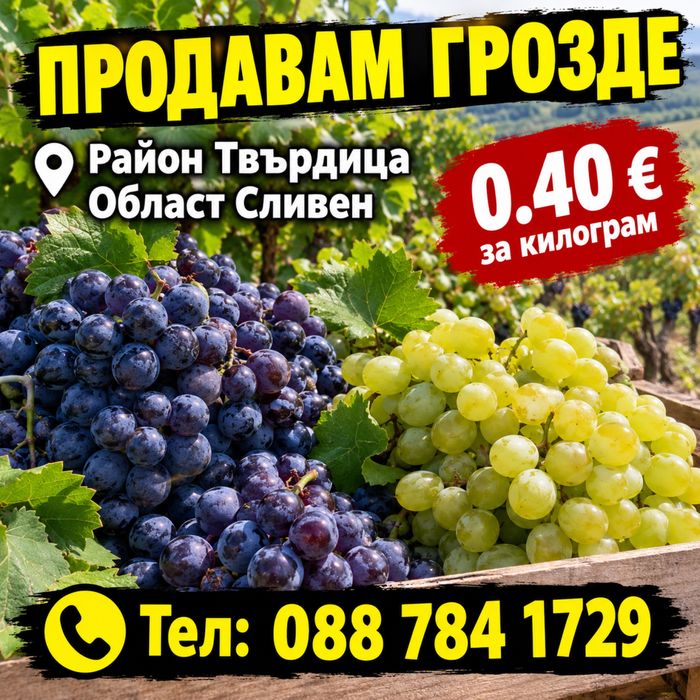 Продавам грозде за вино и ракия район Твърдица