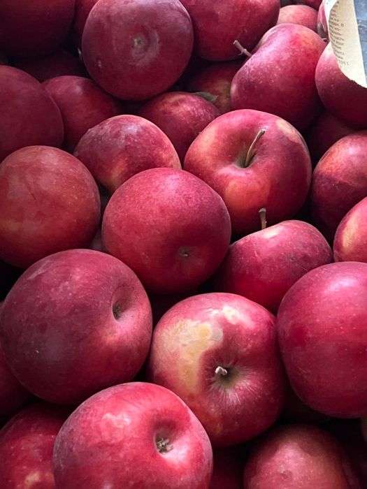 Яблоки с Тургена