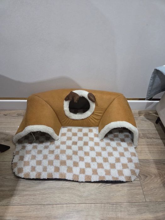 Котенок сиамский 3 мес