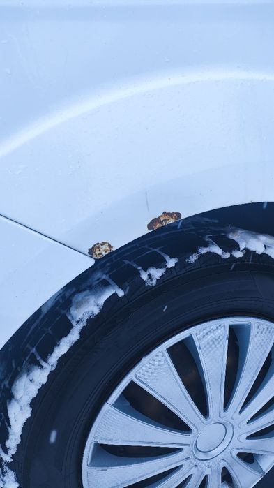 Ford Focus 2011 седан