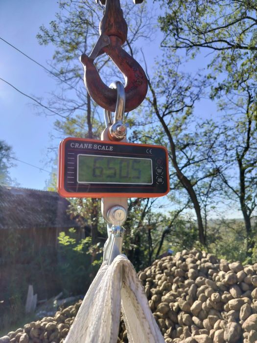 Sfecla de zahar pentru animale oi,vaci,capre,vitei‼