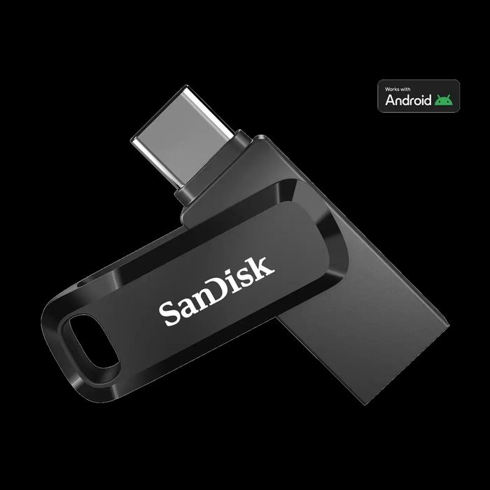 USB Флешка SanDisk Dual Drive Go 256GB