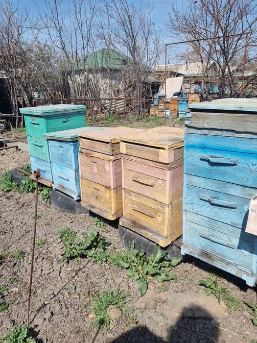 Продам улья для пчёл с рамками