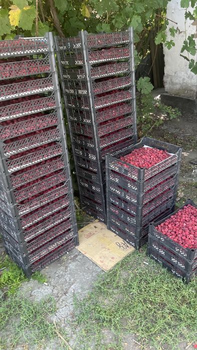 Ящики пластмассовые, деревянные