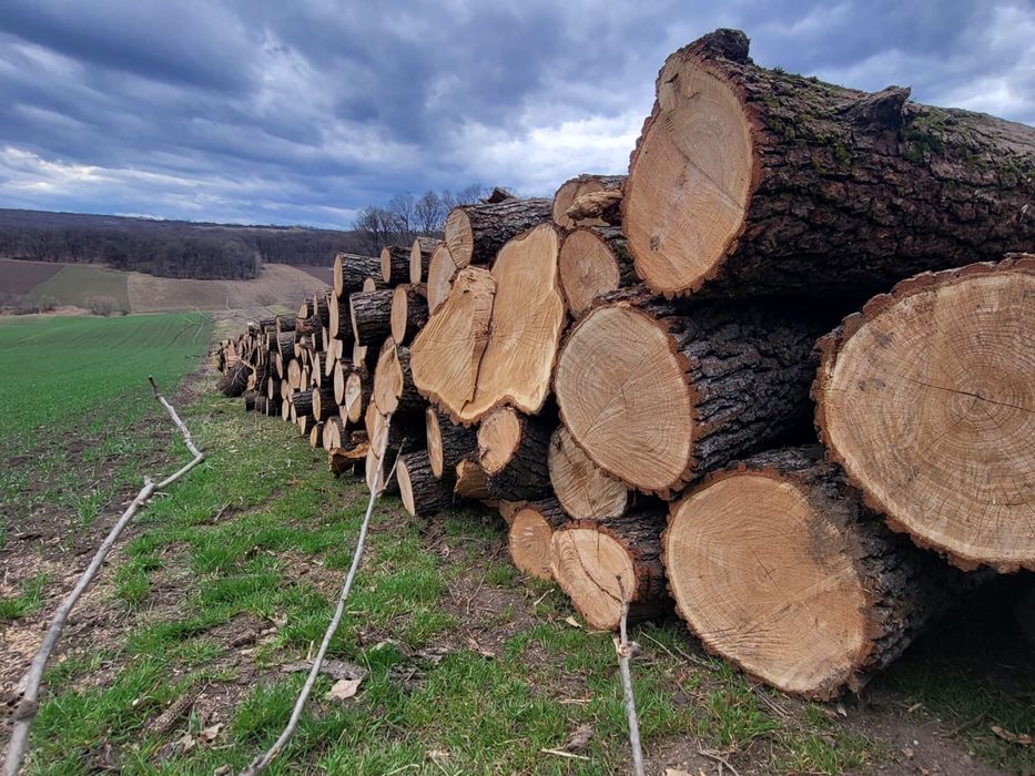 Vand lemne de foc esenta tare