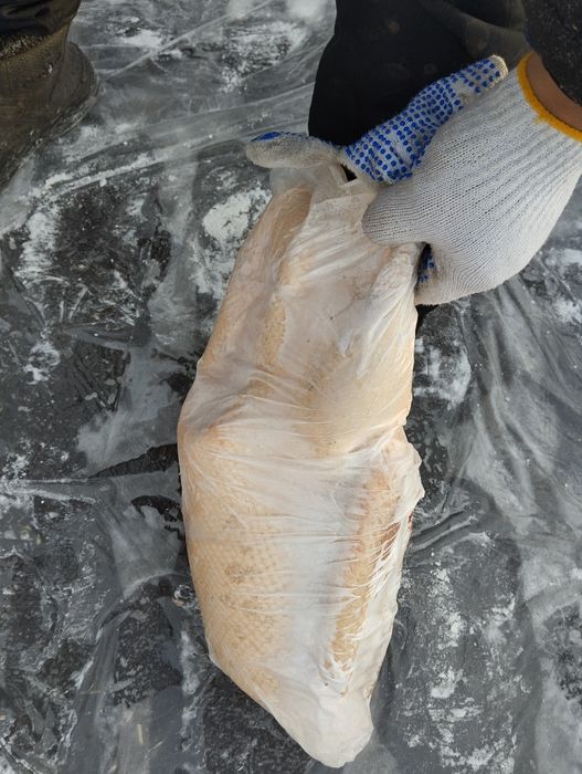 Продам мясо гуся